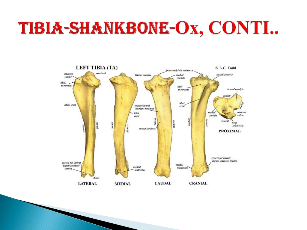 slide6