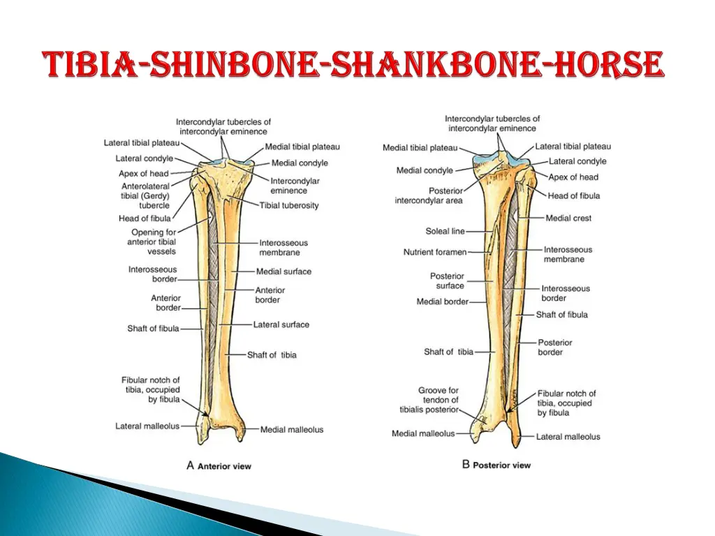 slide8
