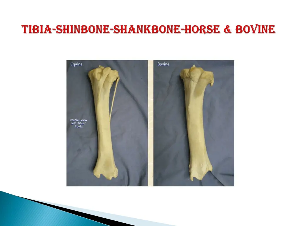 slide9