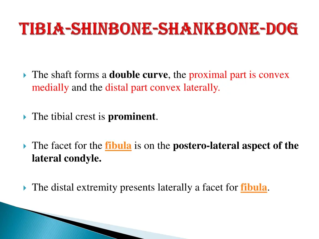 the shaft forms a double curve the proximal part