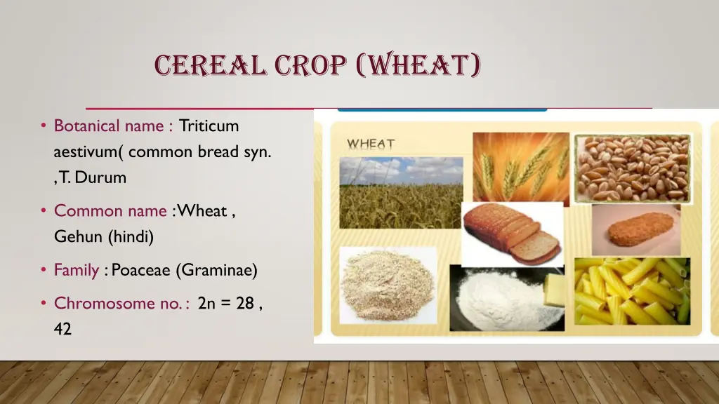 cereal crop wheat