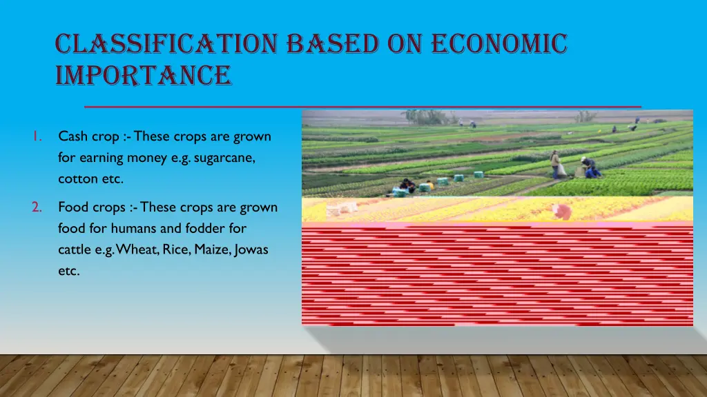 classification based on economic importance