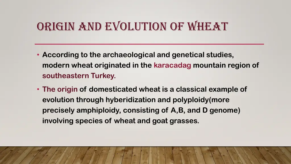 origin and evolution of wheat