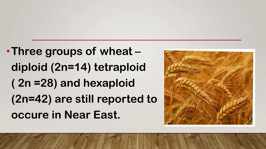 three groups of wheat diploid 2n 14 tetraploid