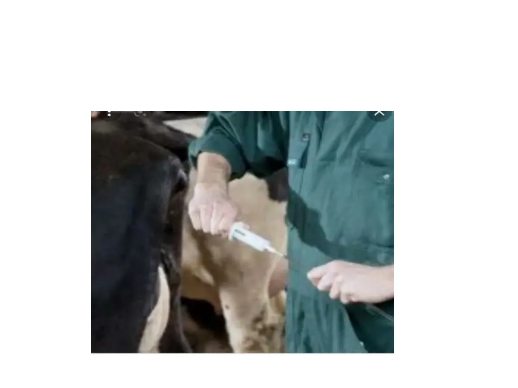 slide9