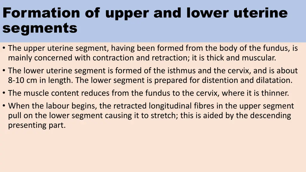 formation of upper and lower uterine segments