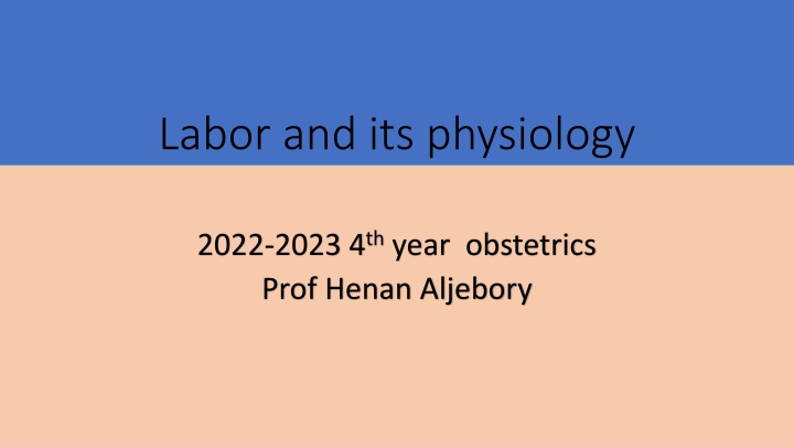 labor and its physiology