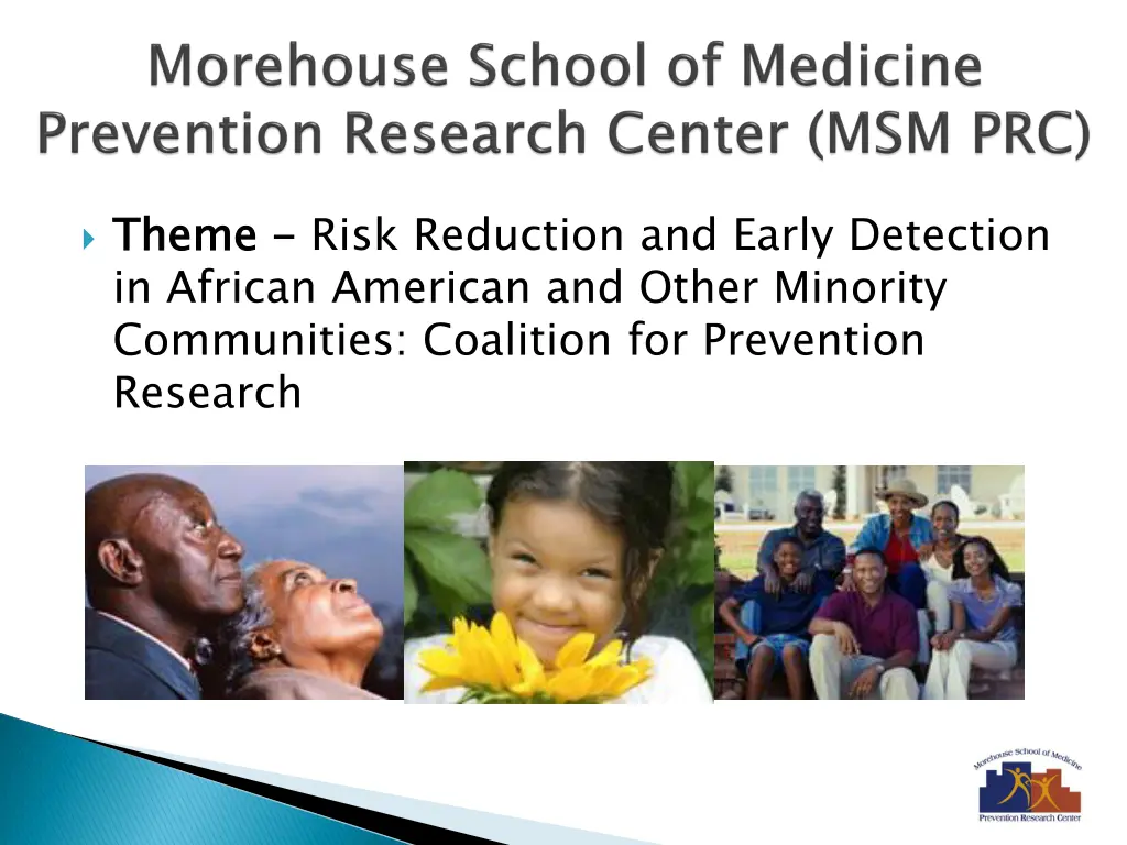 theme in african american and other minority