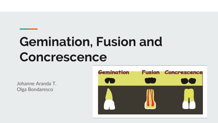 gemination fusion and concrescence