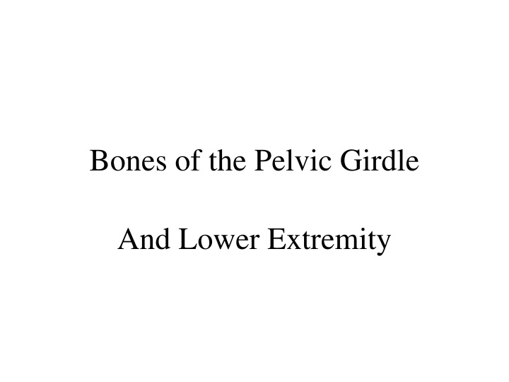 bones of the pelvic girdle