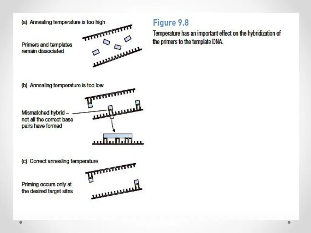 slide11