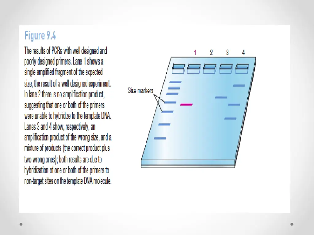 slide3