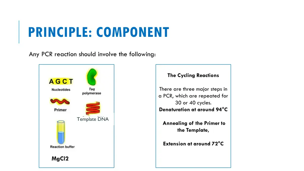 principle component