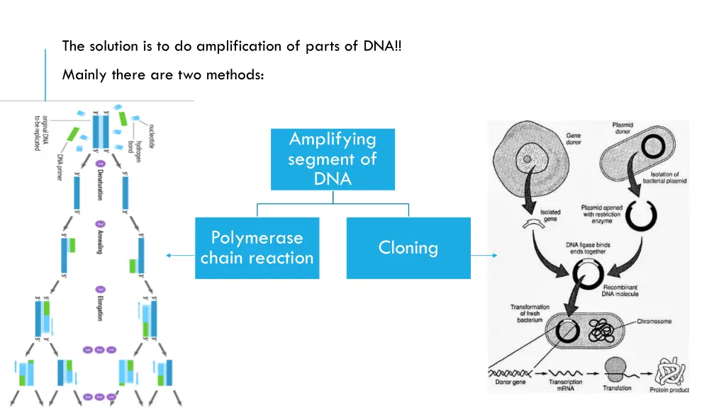 the solution is to do amplification of parts