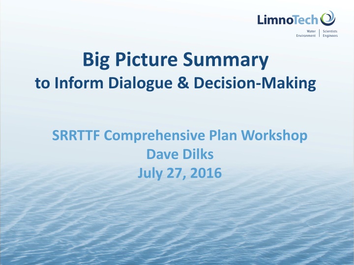 big picture summary to inform dialogue decision