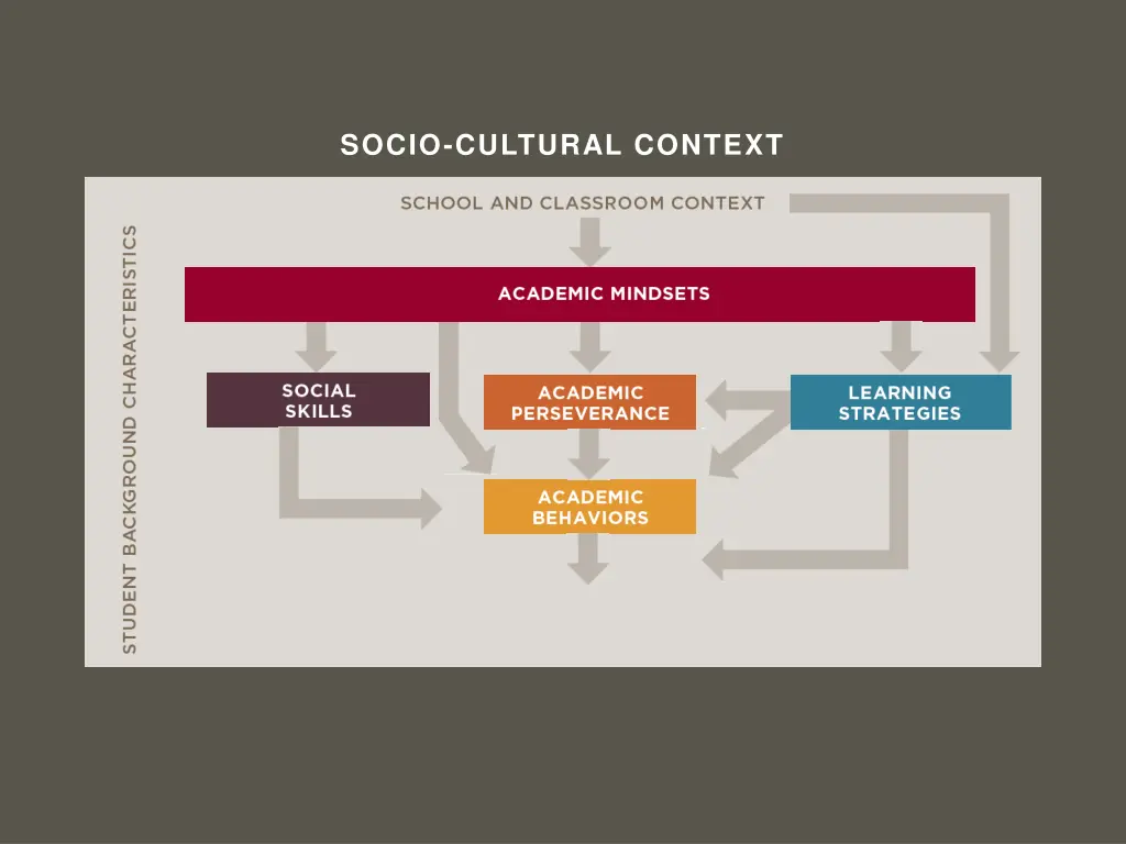 socio cultural context 18