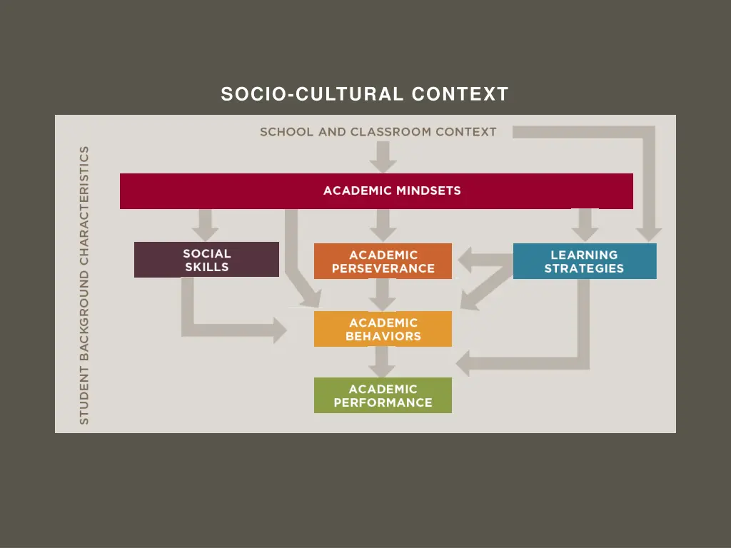socio cultural context 19