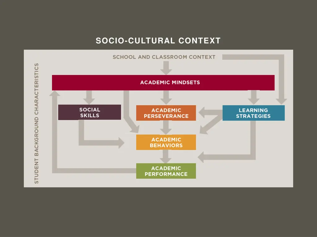 socio cultural context 20