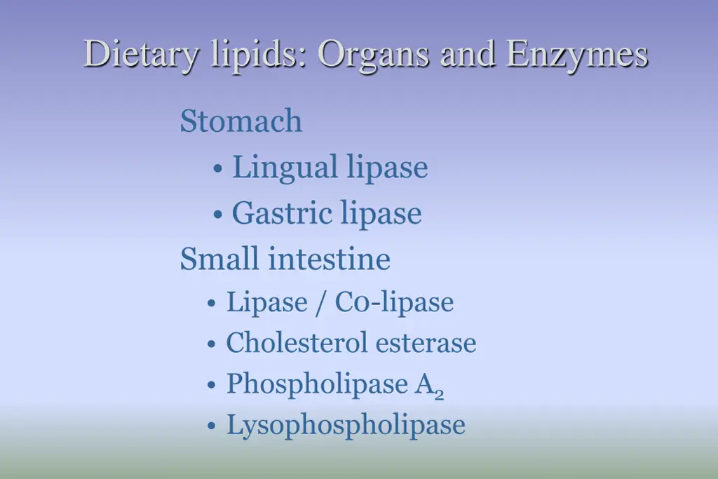 dietary lipids organs and enzymes