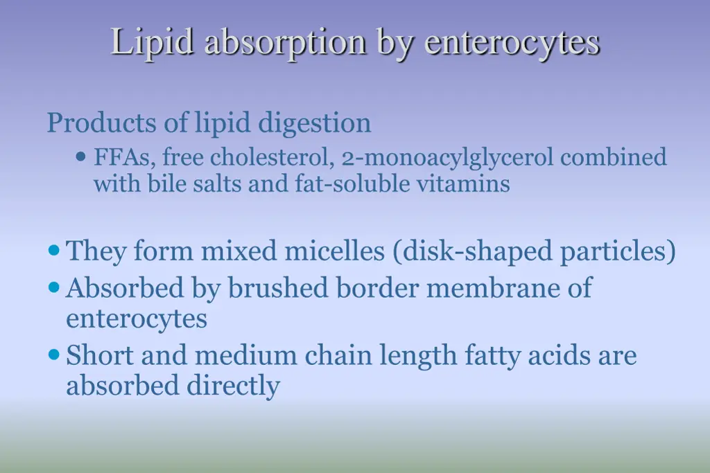 lipid absorption by enterocytes