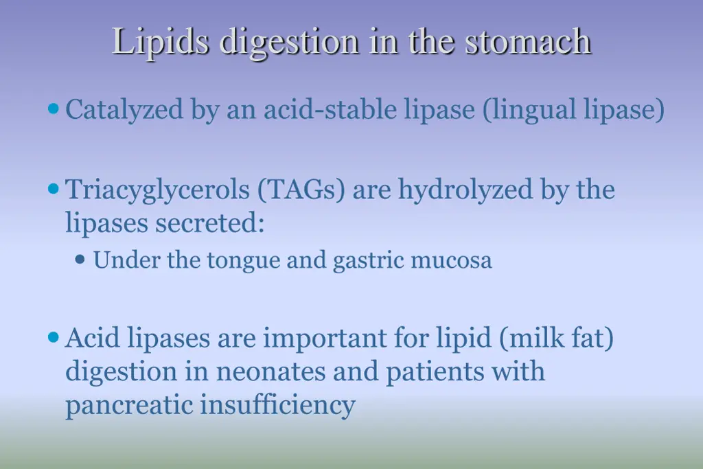 lipids digestion in the stomach