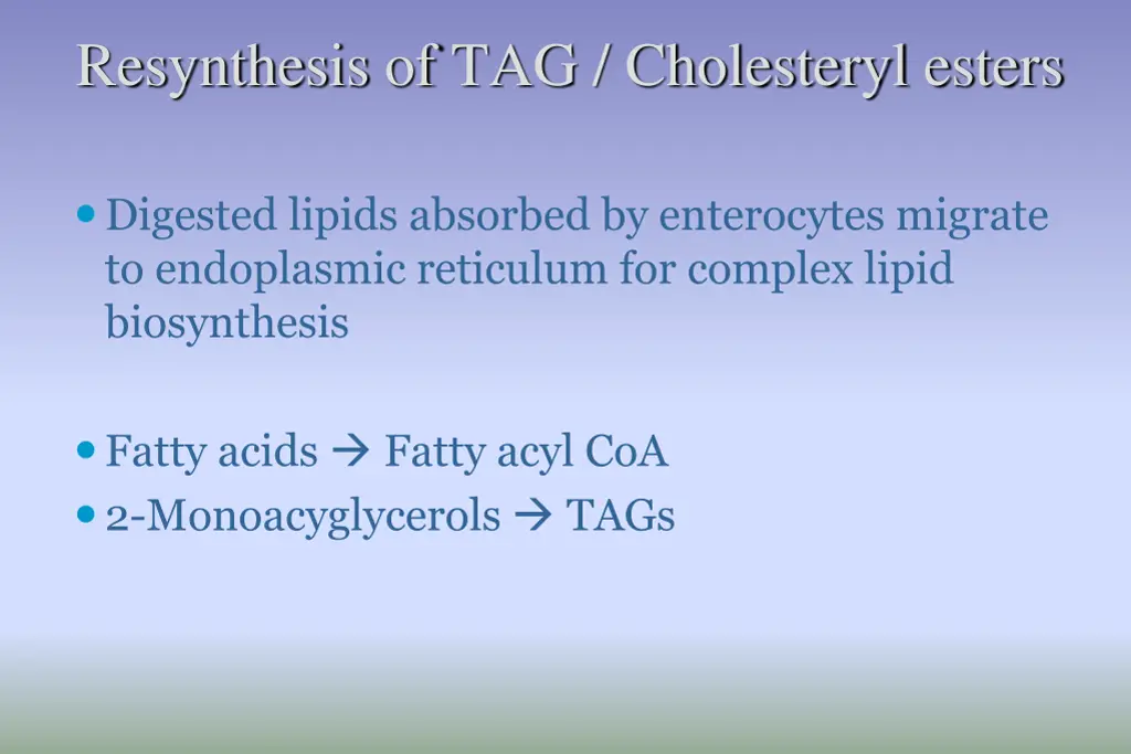 resynthesis of tag cholesteryl esters