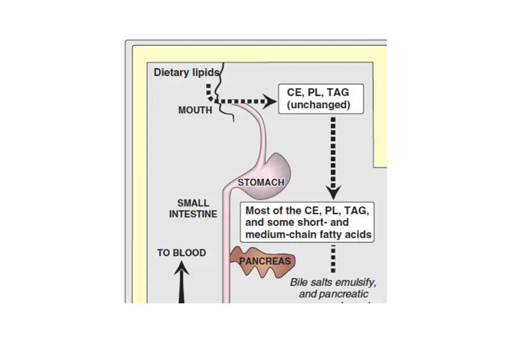 slide7