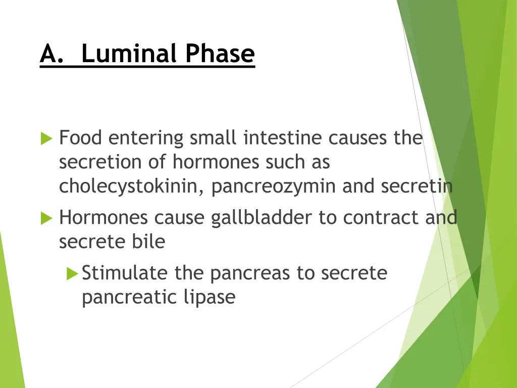a luminal phase