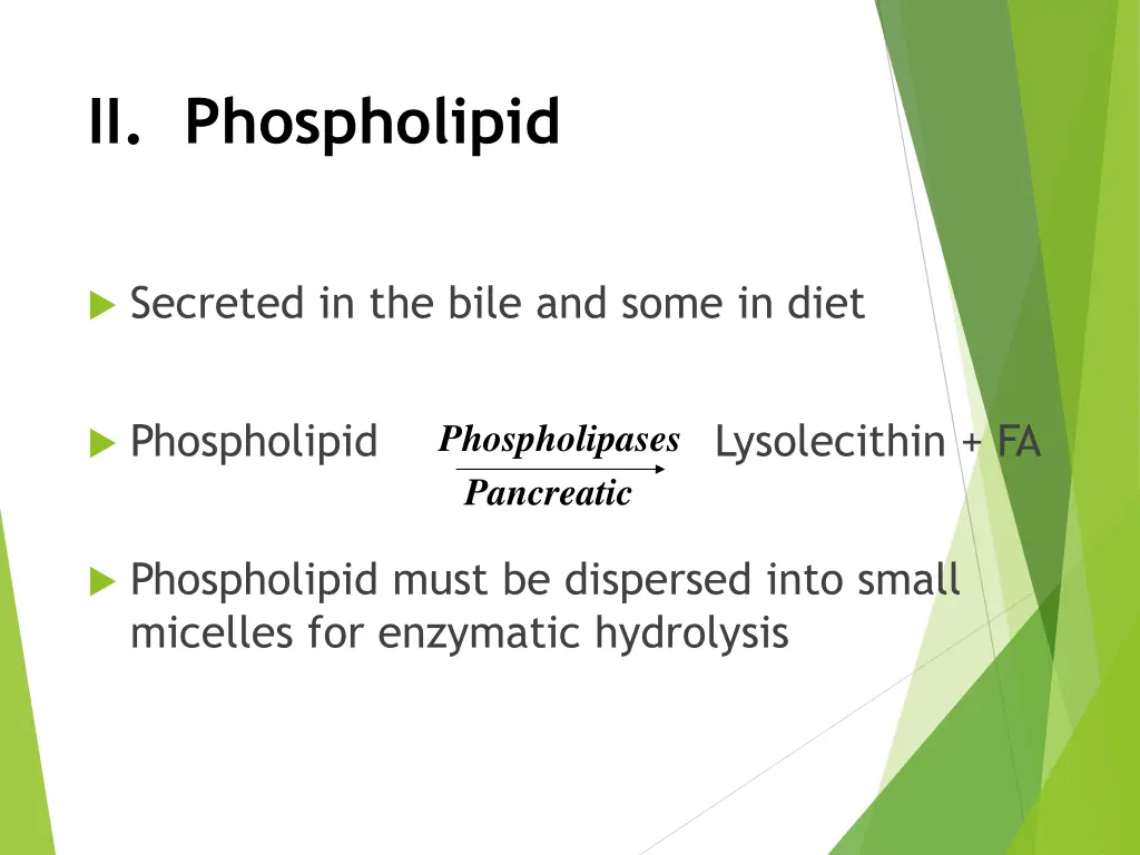 ii phospholipid