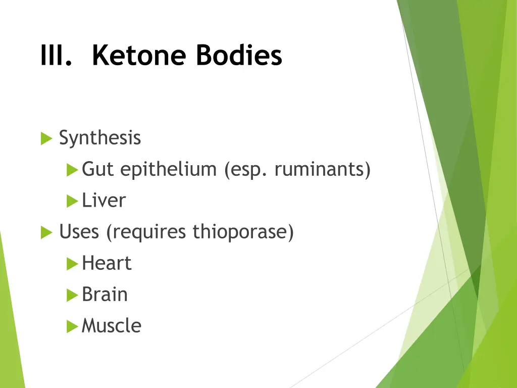iii ketone bodies