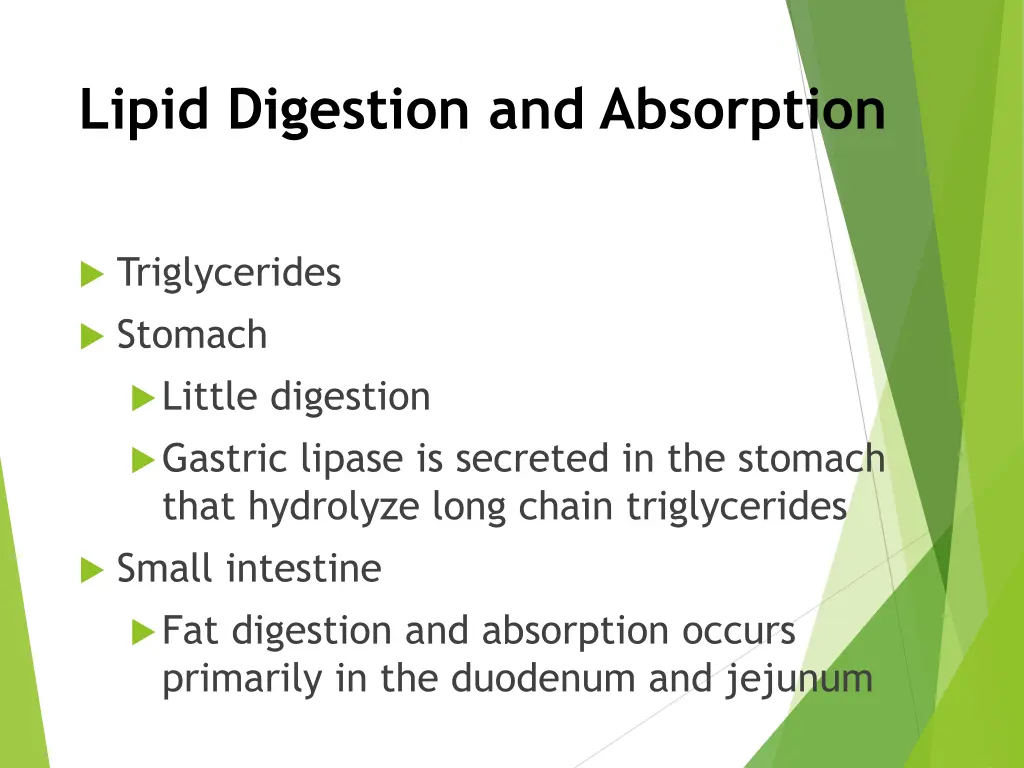 lipid digestion and absorption 1