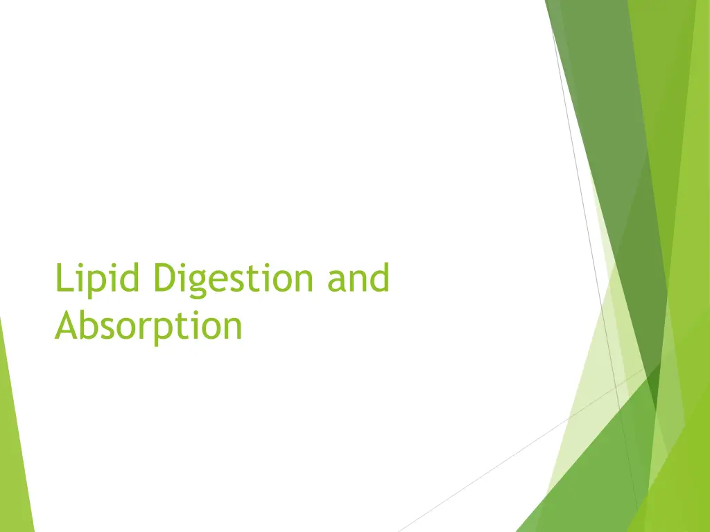 lipid digestion and absorption