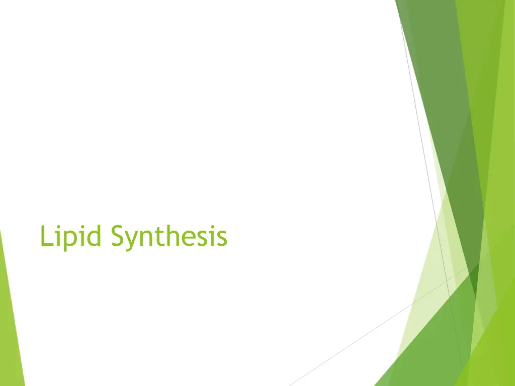 lipid synthesis