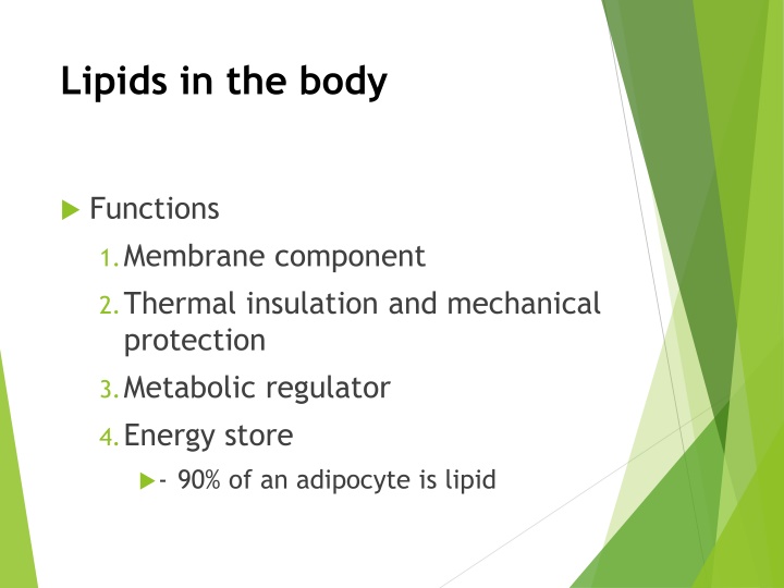 lipids in the body