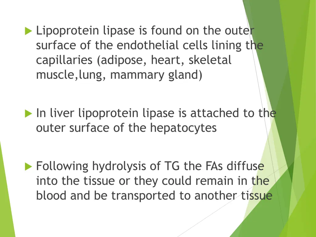 lipoprotein lipase is found on the outer surface