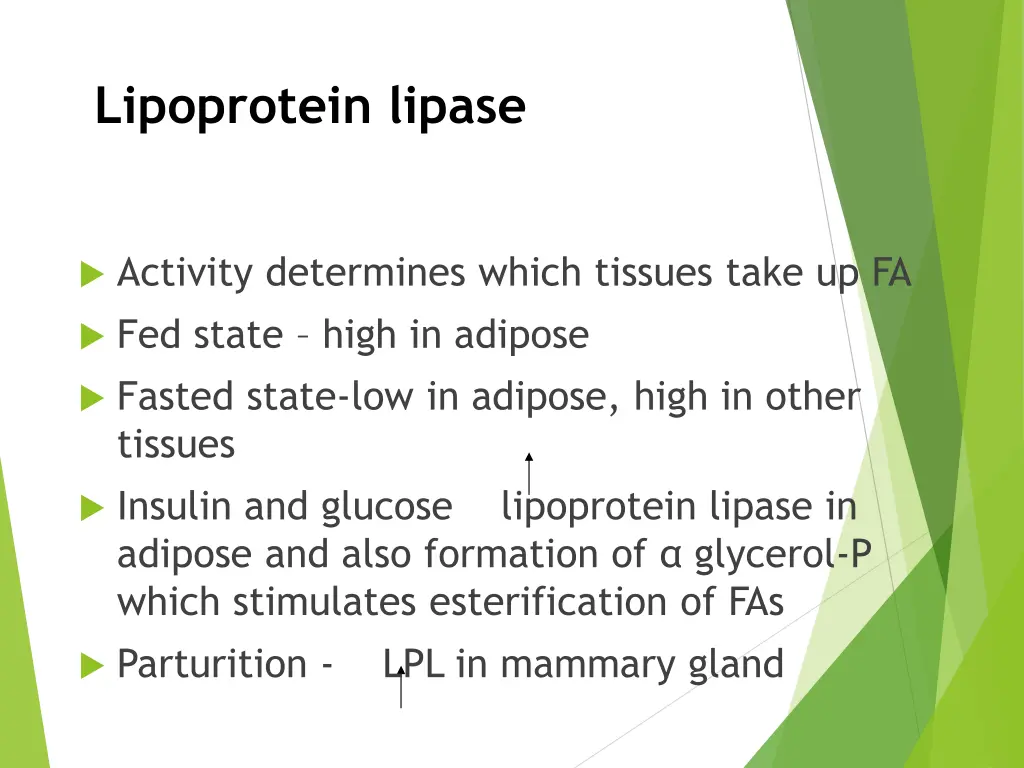 lipoprotein lipase