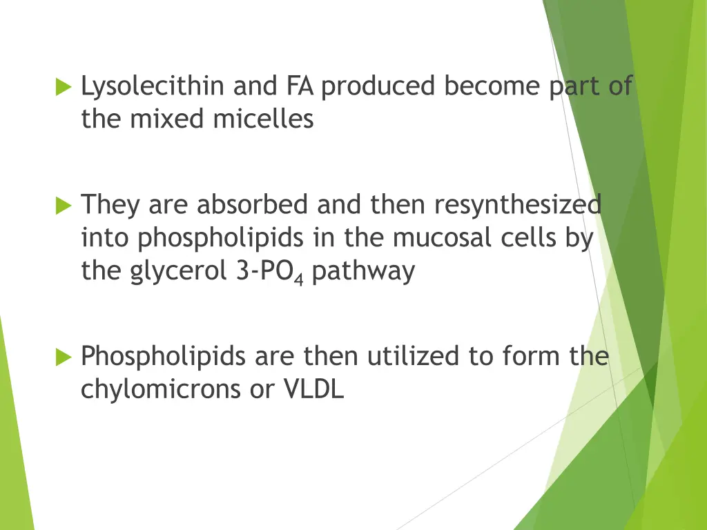 lysolecithin and fa produced become part