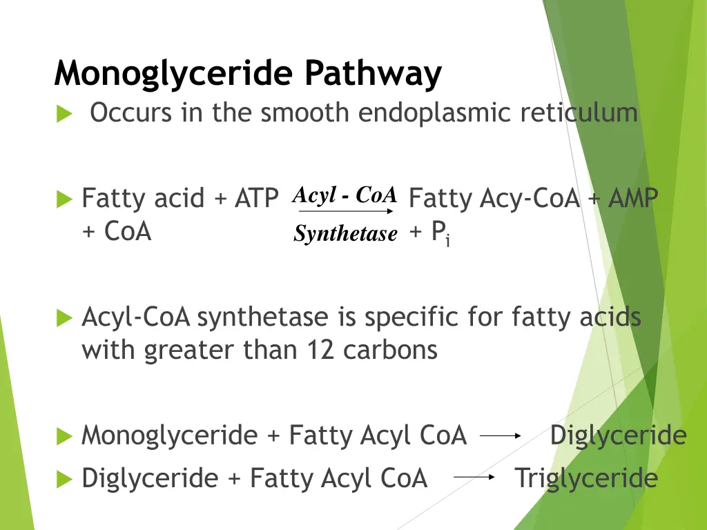 monoglyceride pathway occurs in the smooth