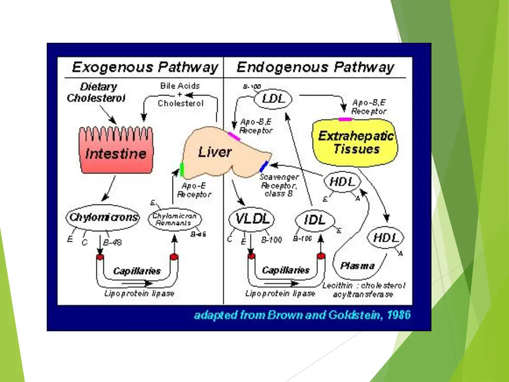 slide32