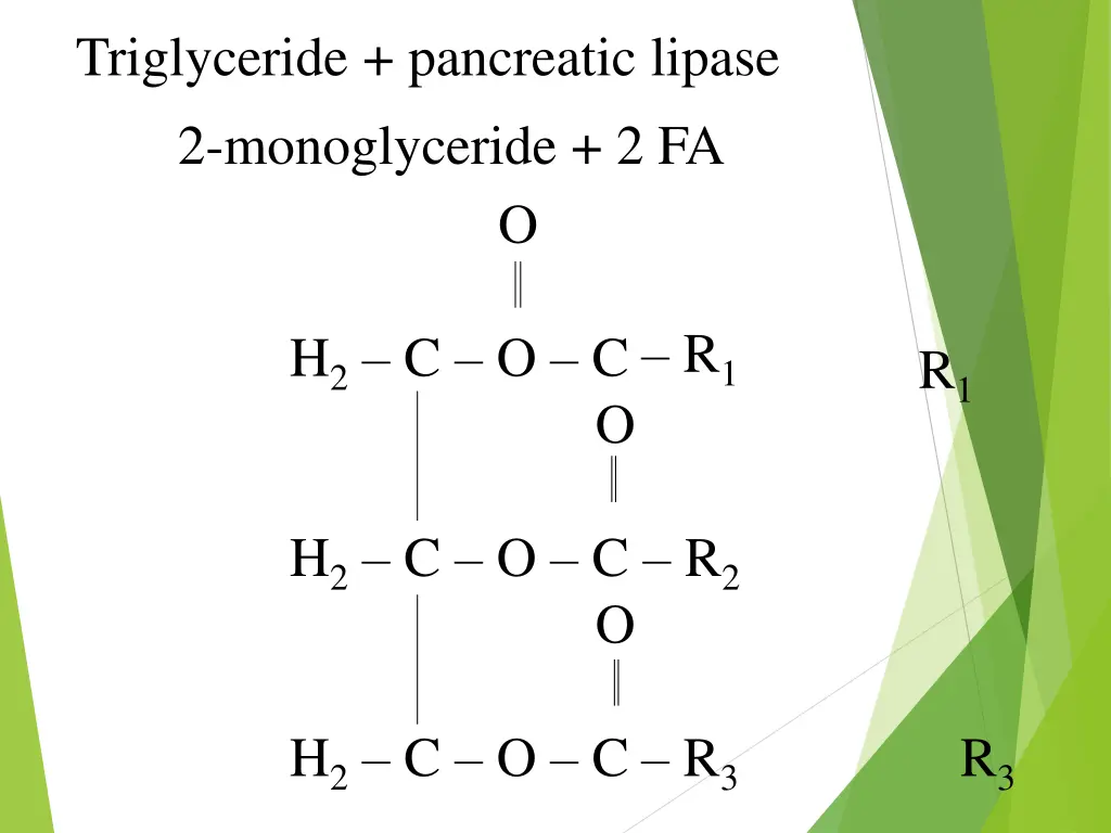 triglyceride 2 monoglyceride 2 fa