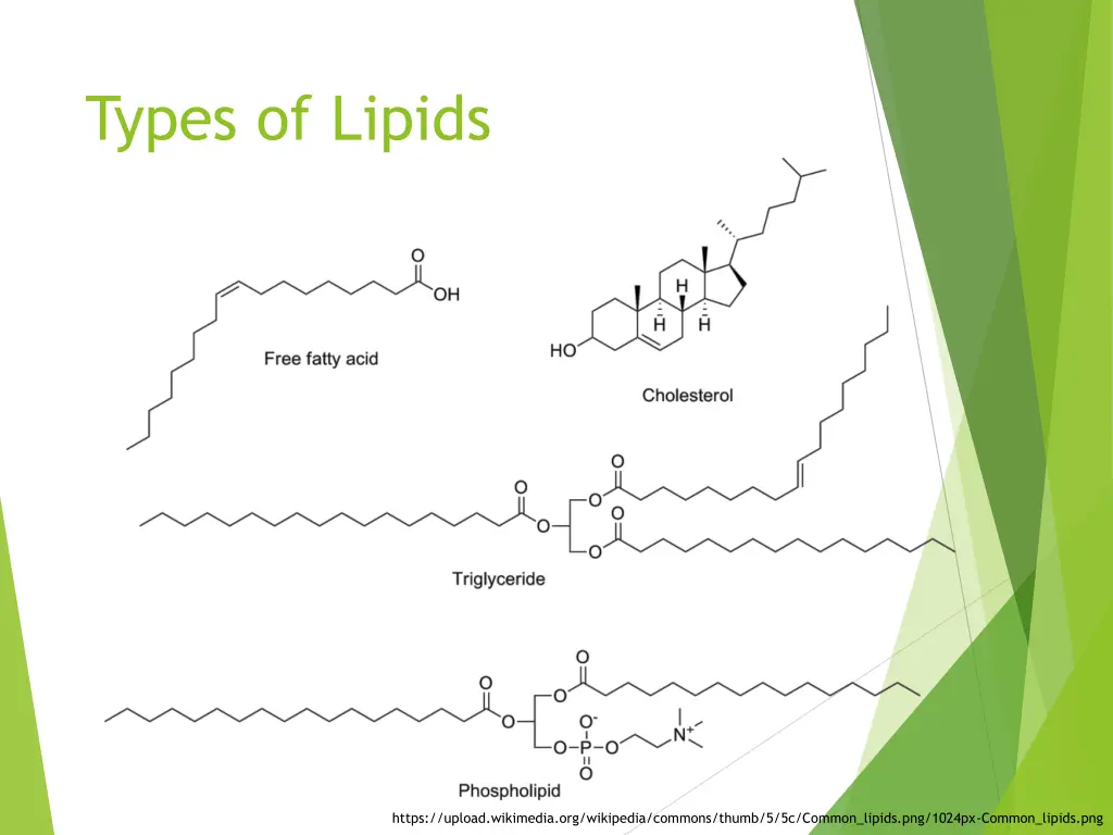 types of lipids