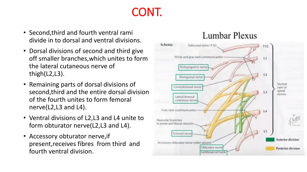 cont cont 1