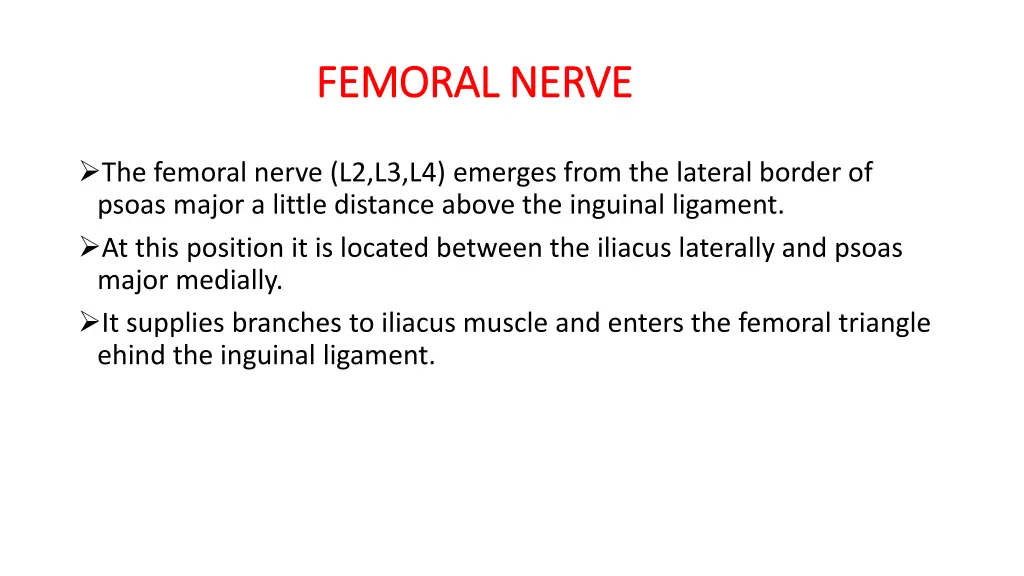 femoral nerve femoral nerve