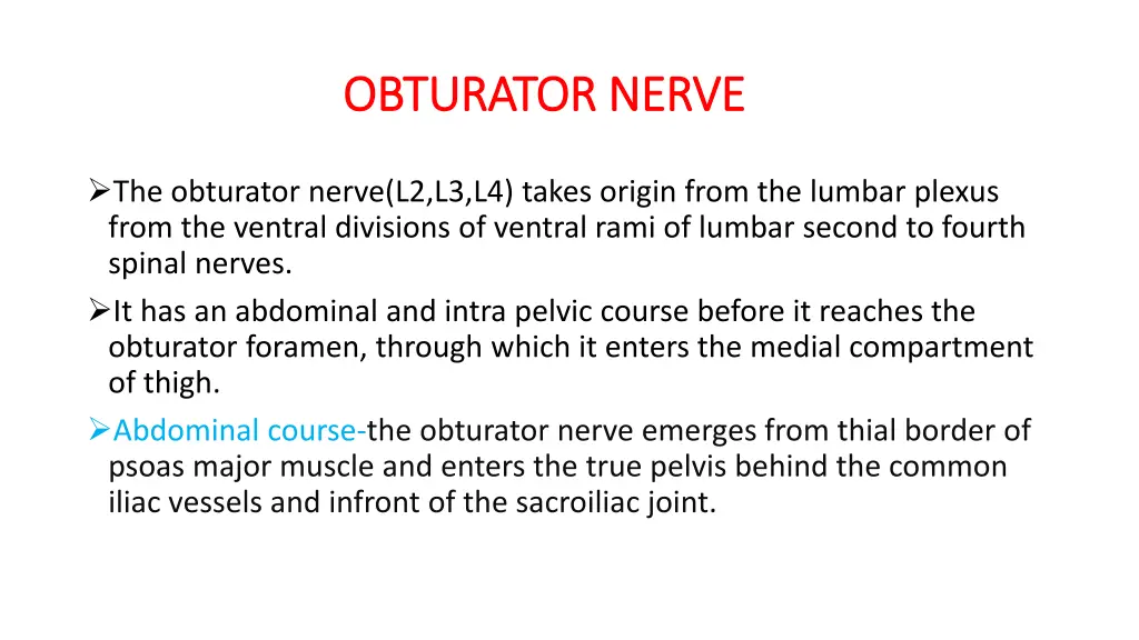 obturator nerve obturator nerve