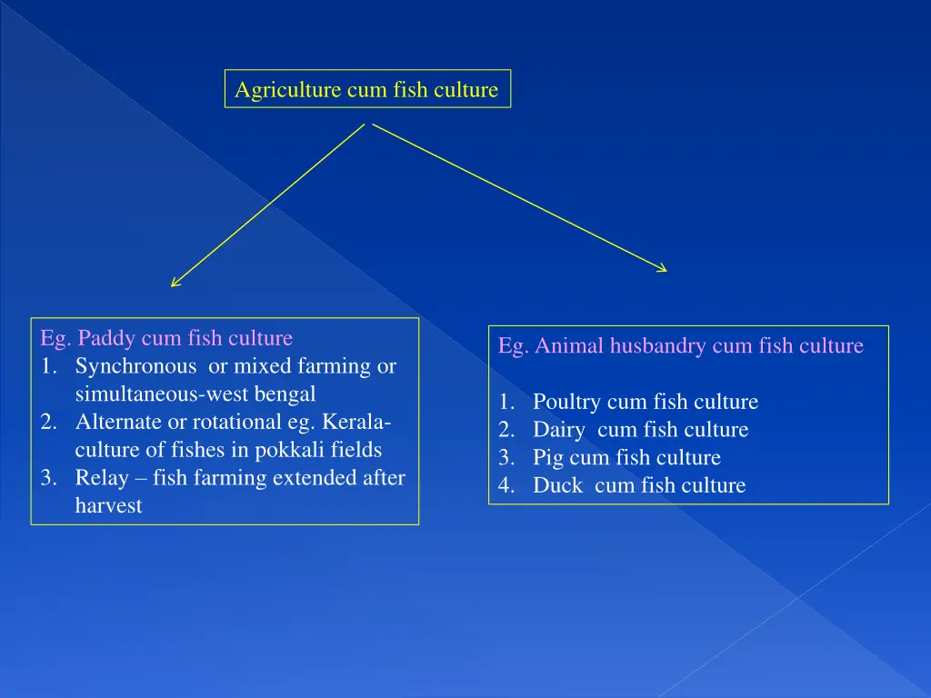 agriculture cum fish culture