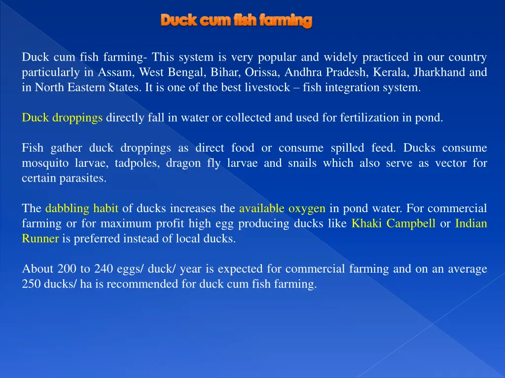 duck cum fish farming