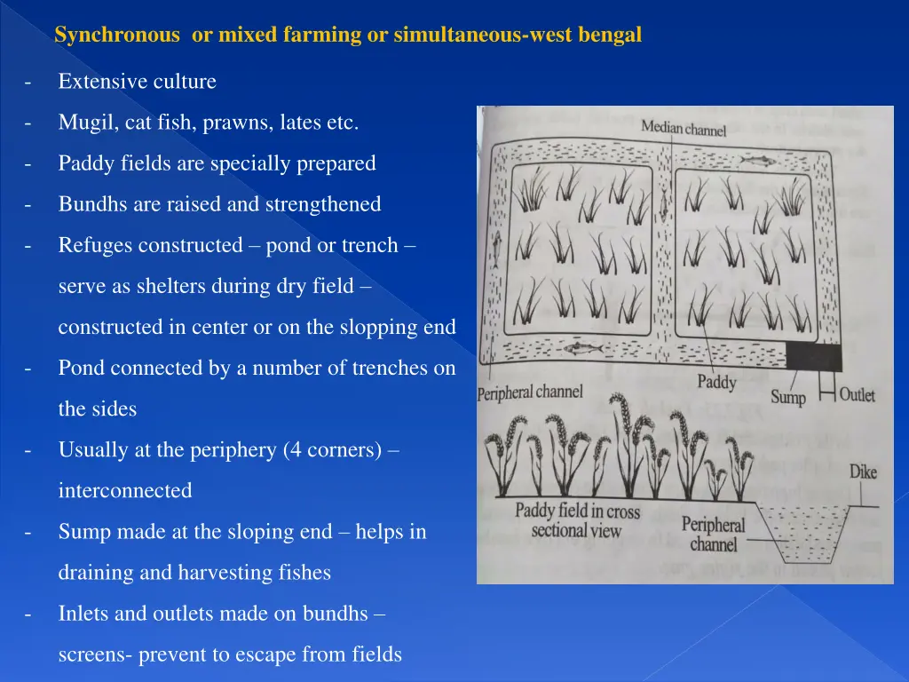 synchronous or mixed farming or simultaneous west