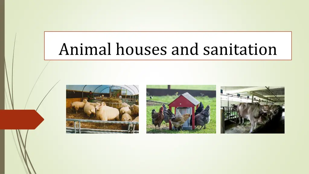 animal houses and sanitation