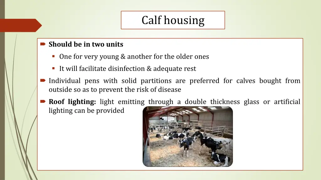 calf housing