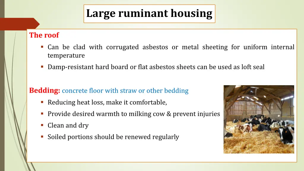 large ruminant housing 2